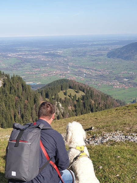 Dog and human on mountain