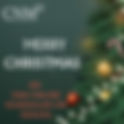 Shining Bright Together: Holiday Cheer from the CNM family