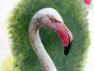 Exhibition - National Exhibition of Wildlife Art