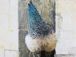 Exhibition - Jerram Gallery, Sherborne