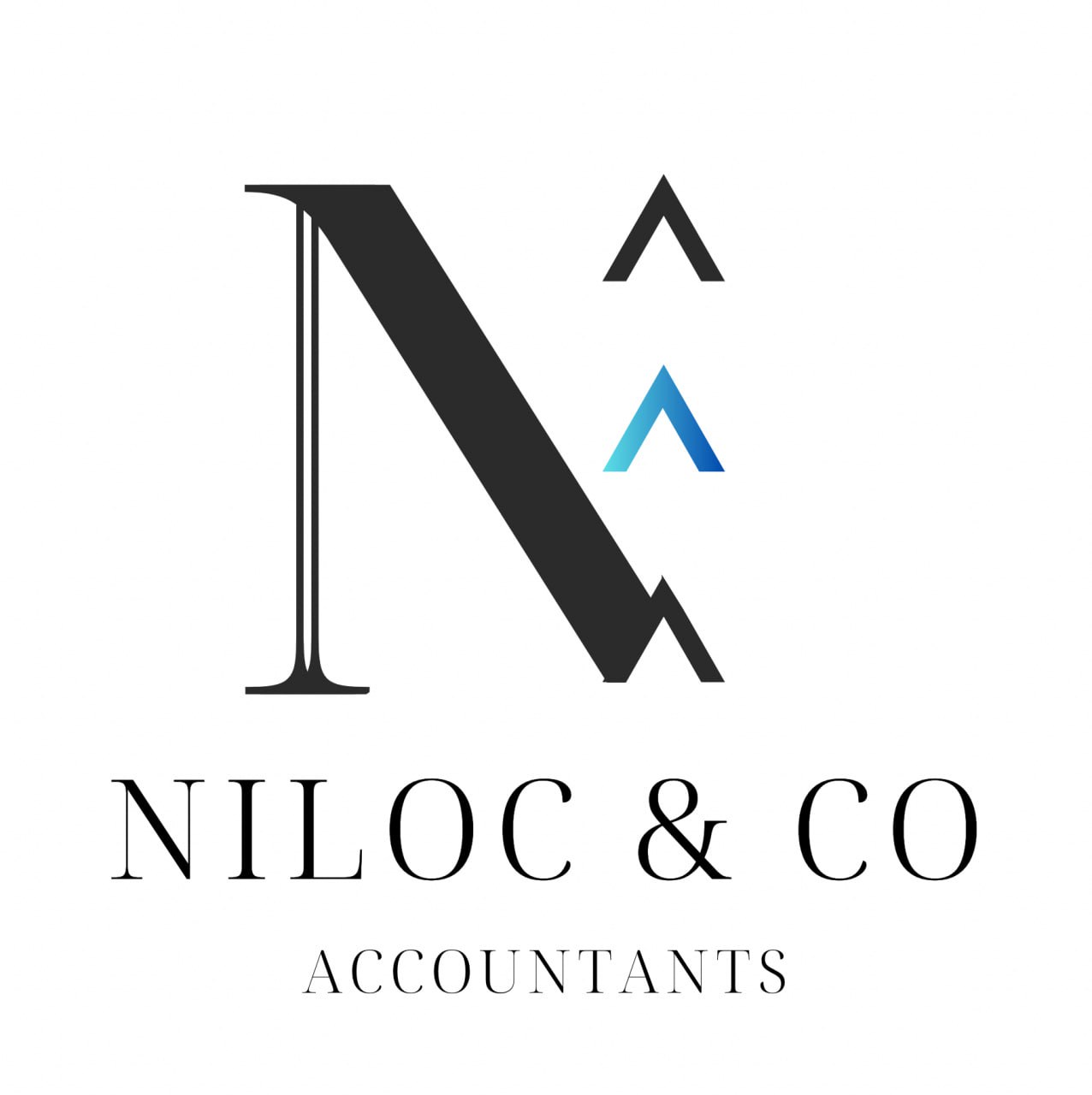Writer: Niloc & Co Accountants