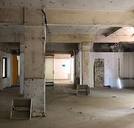 Image by Luke Stackpoole