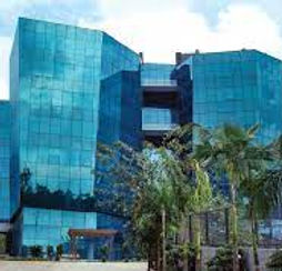 Image by Luke Stackpoole