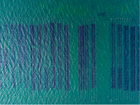 NRAC Northeastern Regional Aquaculture Center sustainable growth and innovation