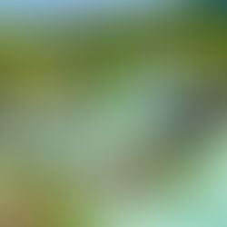 Thermal Springs in Puracé