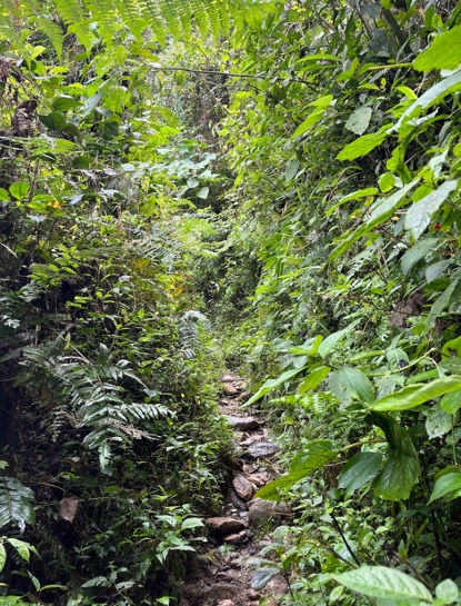 Miniaturbild: Trekking-Expedition zur Laguna de la Magdalena (3 Tage)