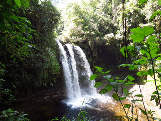 Los Tres Chorros Wasserfall: Verborgene Natur- und Kulturschätze in San Agustín