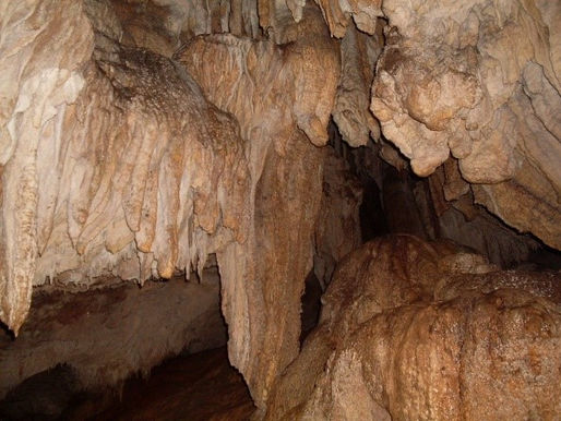 Entdecke die Cueva de los Guácharos: Ein Naturparadies im Süden von Huila