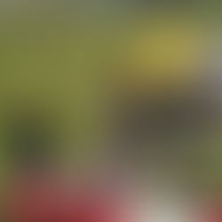 Team von Chaska Tours Colombia