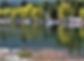 White-lake-sunny-shore-waterfront 1.png