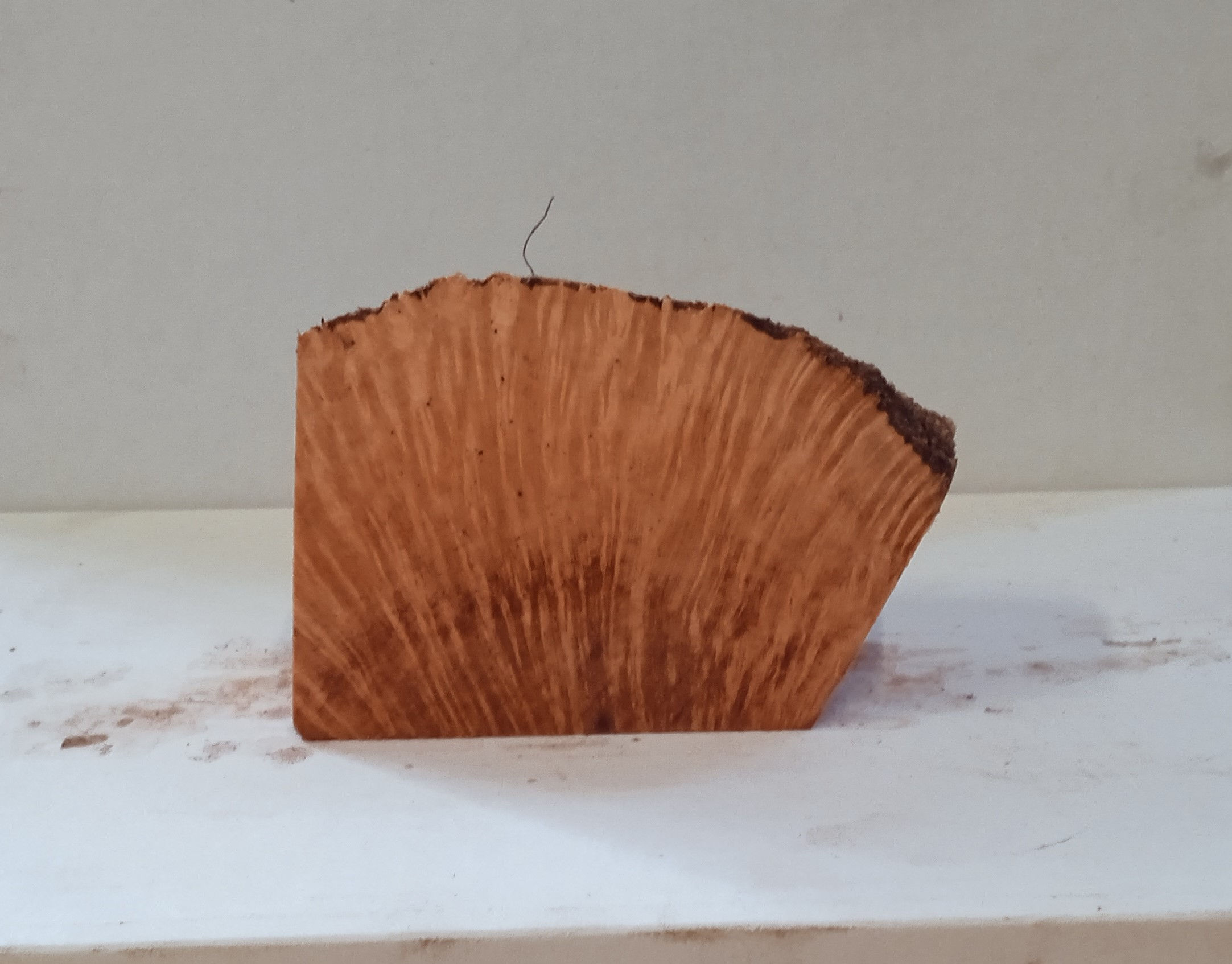 Medium Tight Grain Plateaux