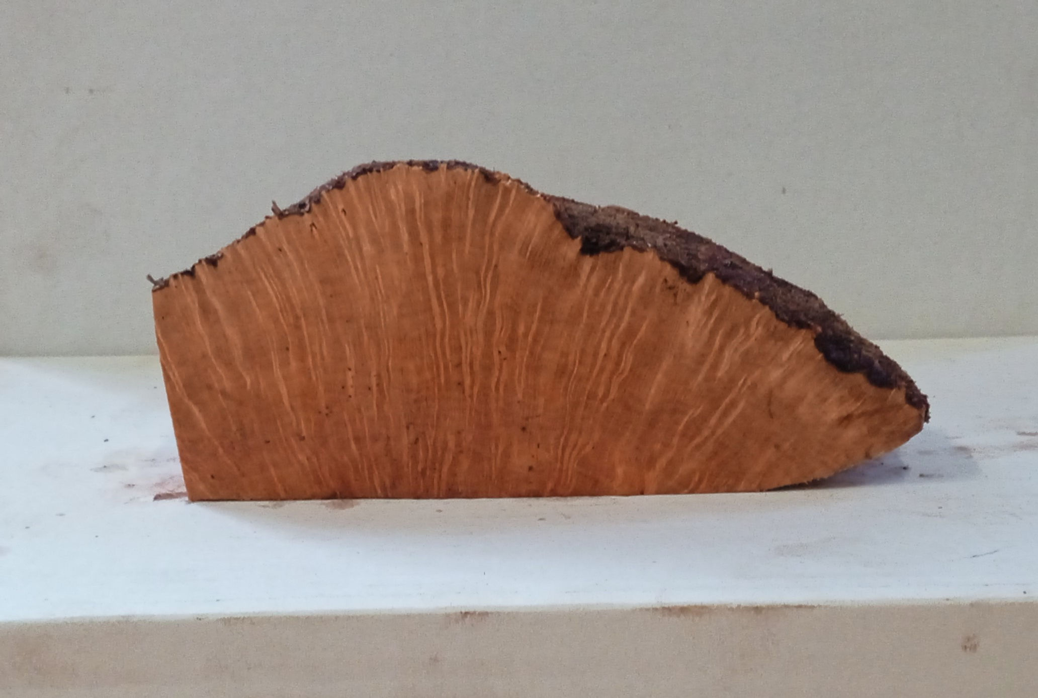 Large Tight Grain Plateaux