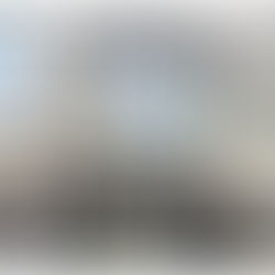 DE BEAUX RÉSULTATS POUR LA VENTE MILITARIA !