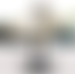 Collection d'objets de la manufacture Les Emaux de Longwy