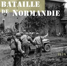 la bataille de Normandy.webp