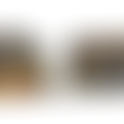 WEEK-END DE VENTES MILITARIA