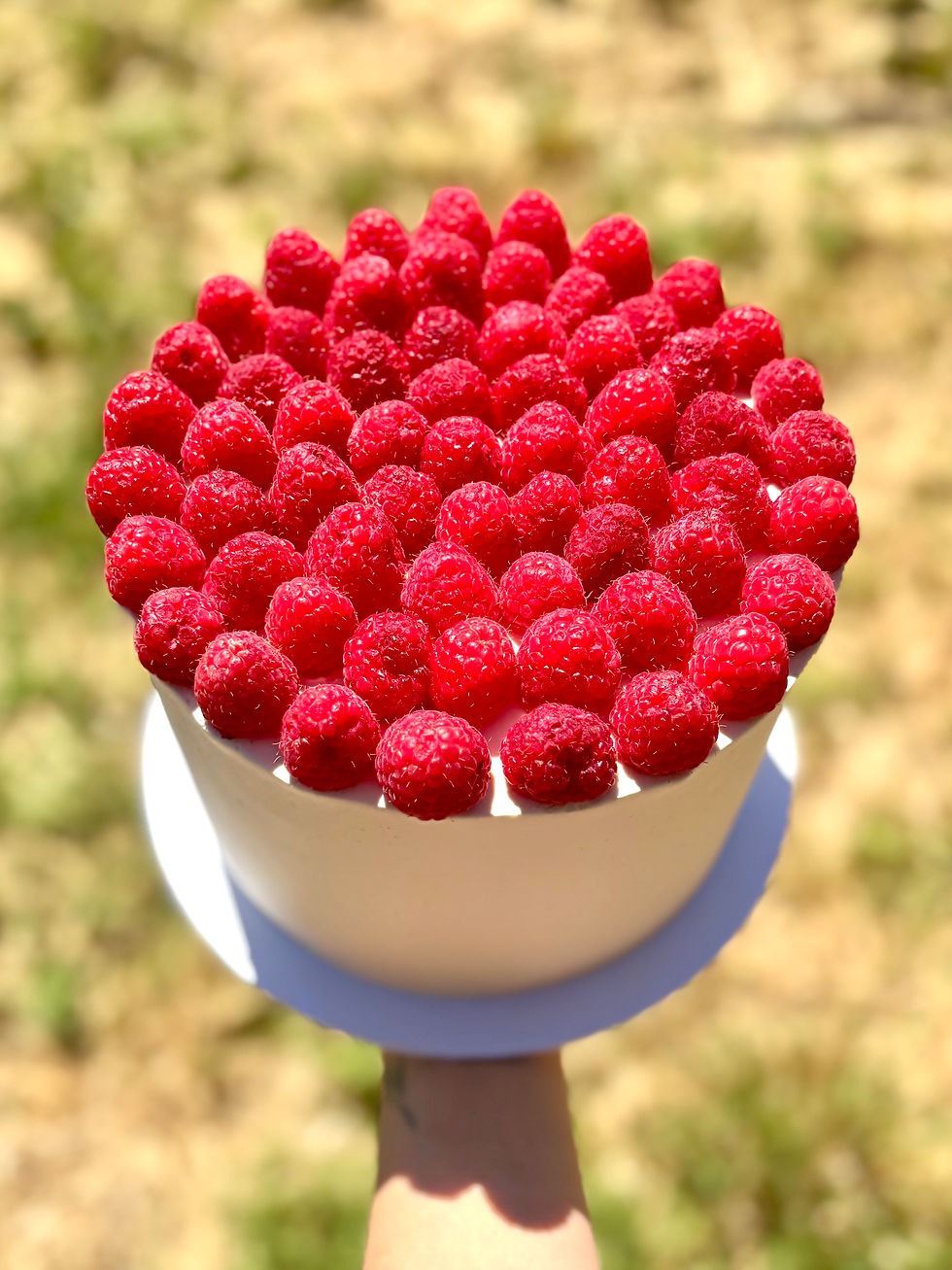 Raspberry cake design