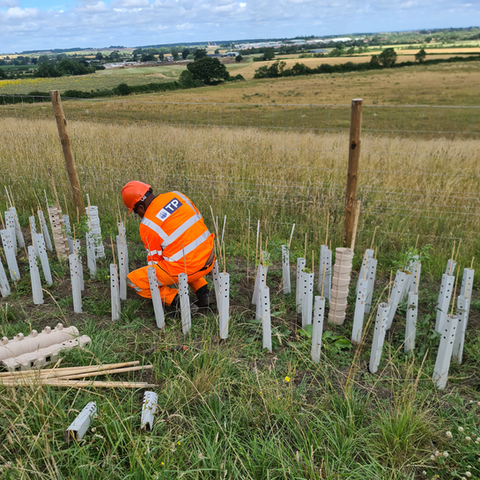 Man in hi viz planting trees
