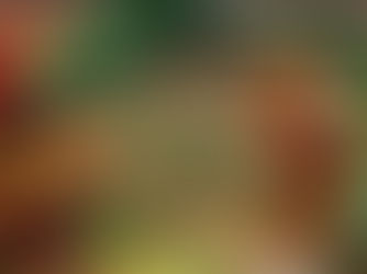 Why You Should Eat Your Vegetables: Reminders of Health Benefits