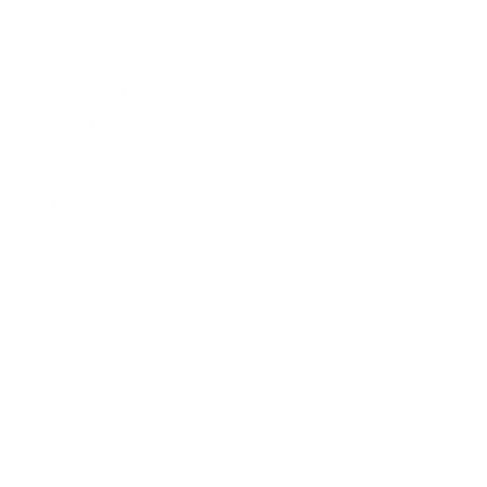 facebook logo white