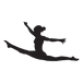 Gymnastics Director Perpetual Motion