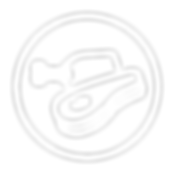 _0000s_0000s_0025_SAUDE-INTESTINAL.png