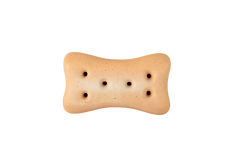 PTI_0000s_0000s_0010_QSGA.png