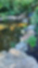 977ca254-d572-489b-8154-93ea8b580705_edited.jpg