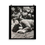 Thumbnail: Poster