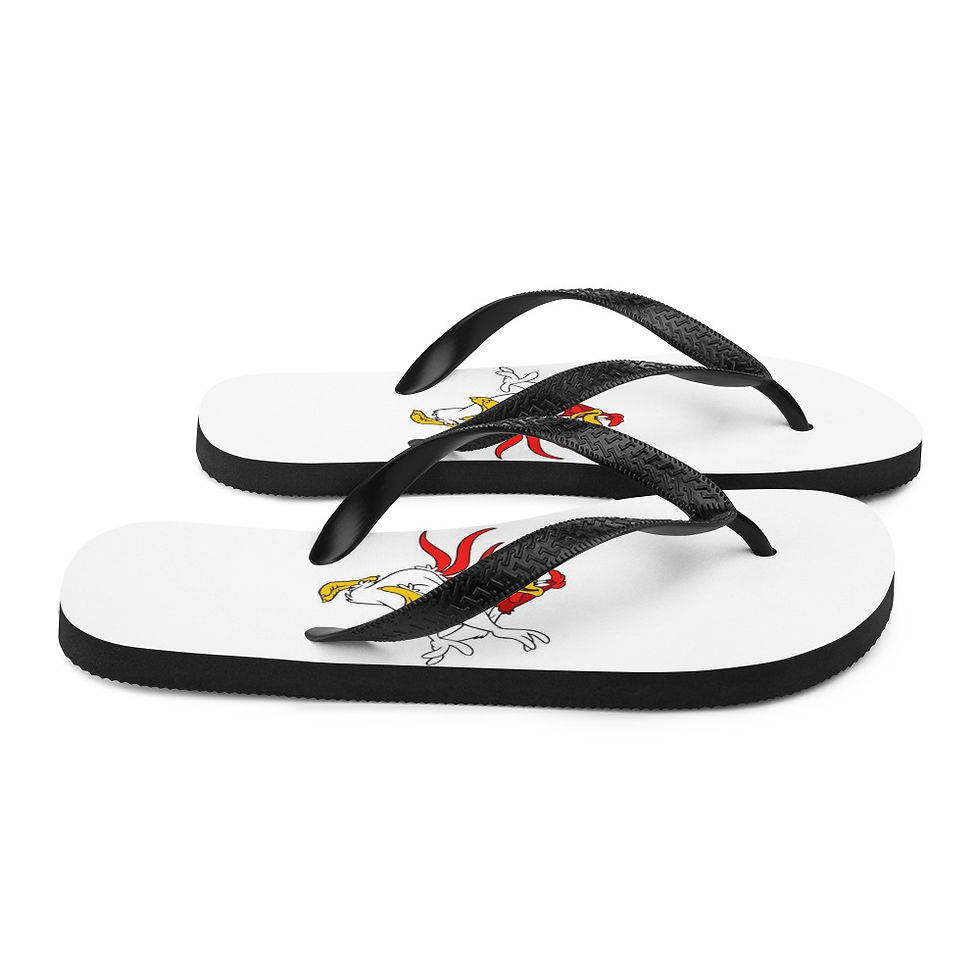Thumbnail: Flip-Flops