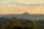 Glastonbury Tor and the levels from Wells. Photo by Phil Broek