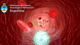 CUERPO HUMANO