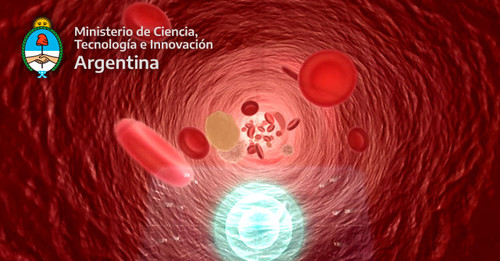 CUERPO HUMANO