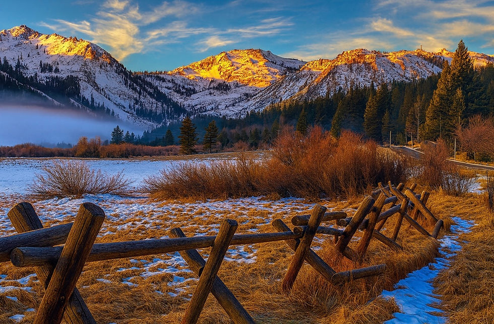 Give a Gift That Lasts Beyond the Season