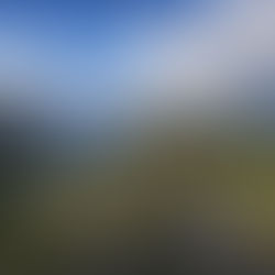 Beauty. You Know It When You See It.