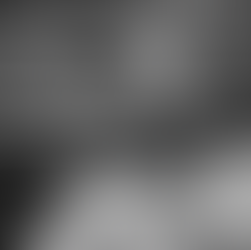 The Search for Qualia