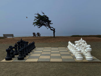 Chess-.jpg