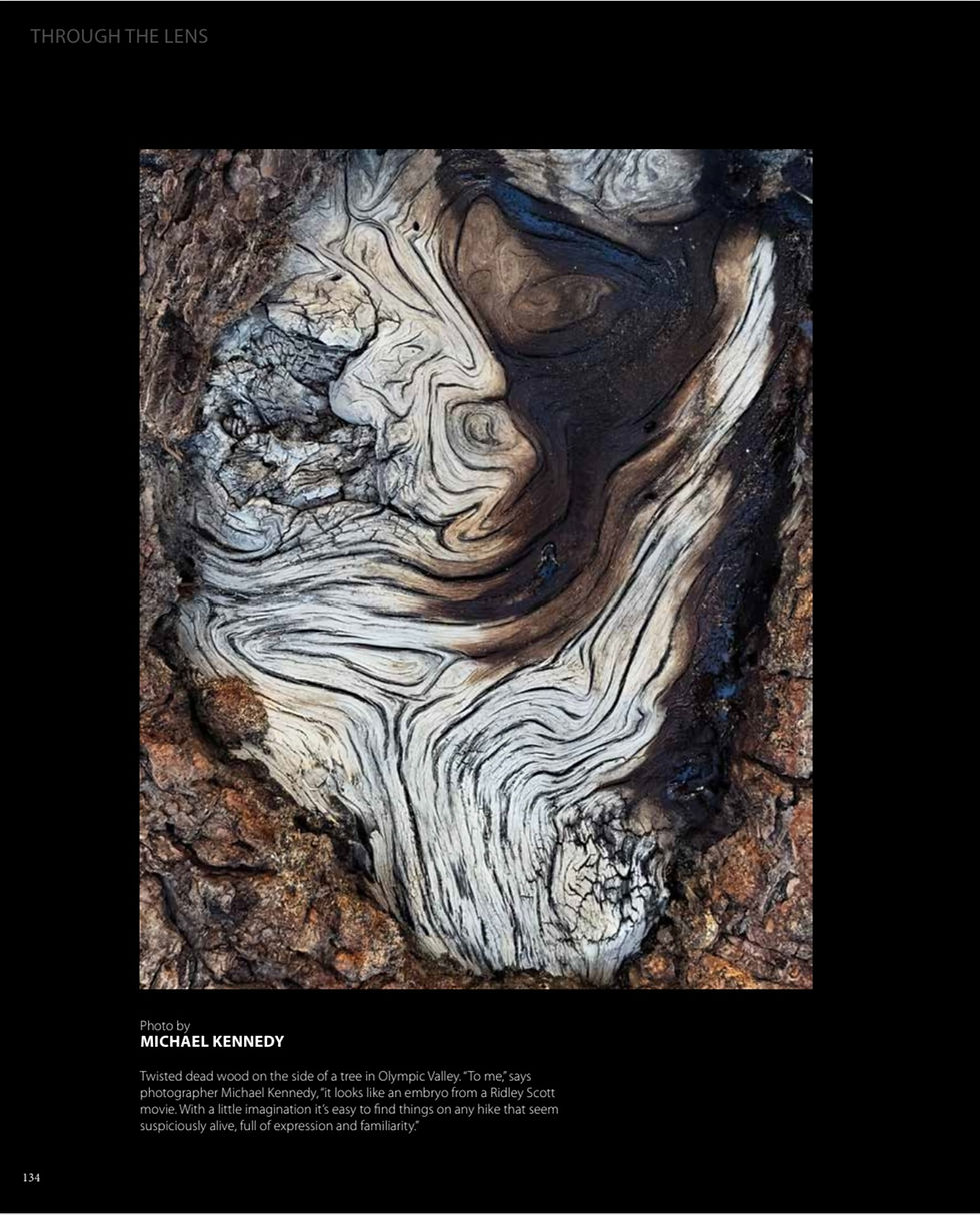 Tahoe Quarterly Magazine