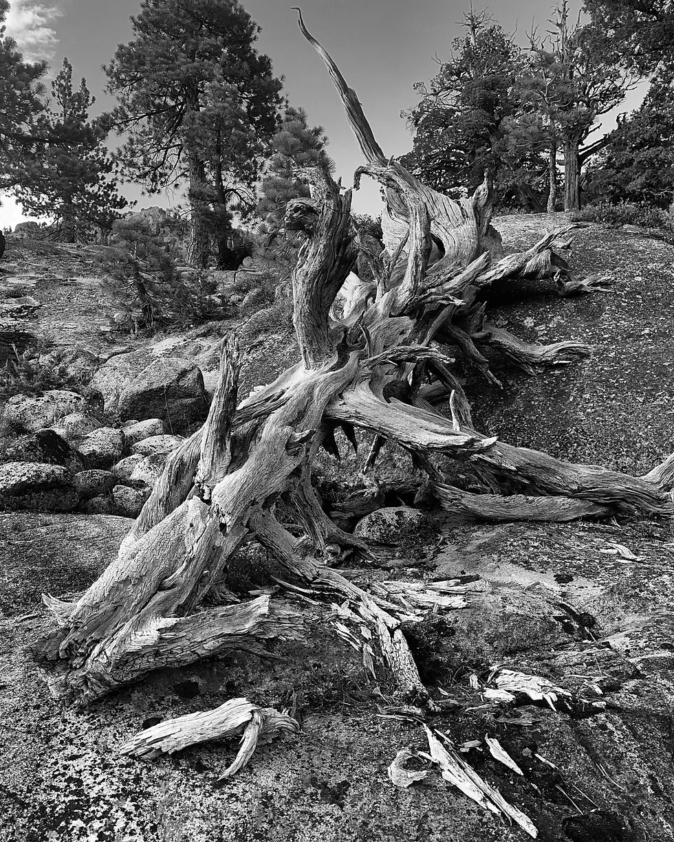 Like the bones of an ancient serpent crawling down the mountain. Dull moments don’t exist up here.