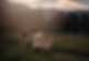 sm_Loftus-80.png