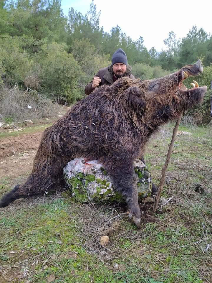 36C6372C-D5E1-43E1-8C46-2710A2D17D25