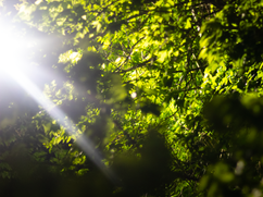 10 - Lens Flare