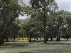 11 - Landscape