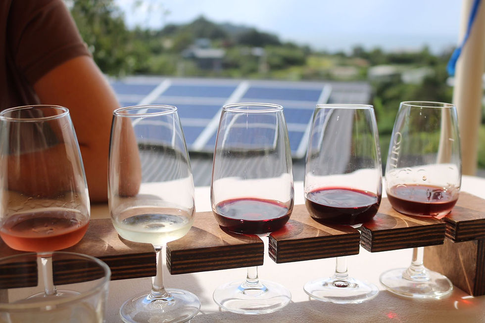 Wine tasting Waiheke