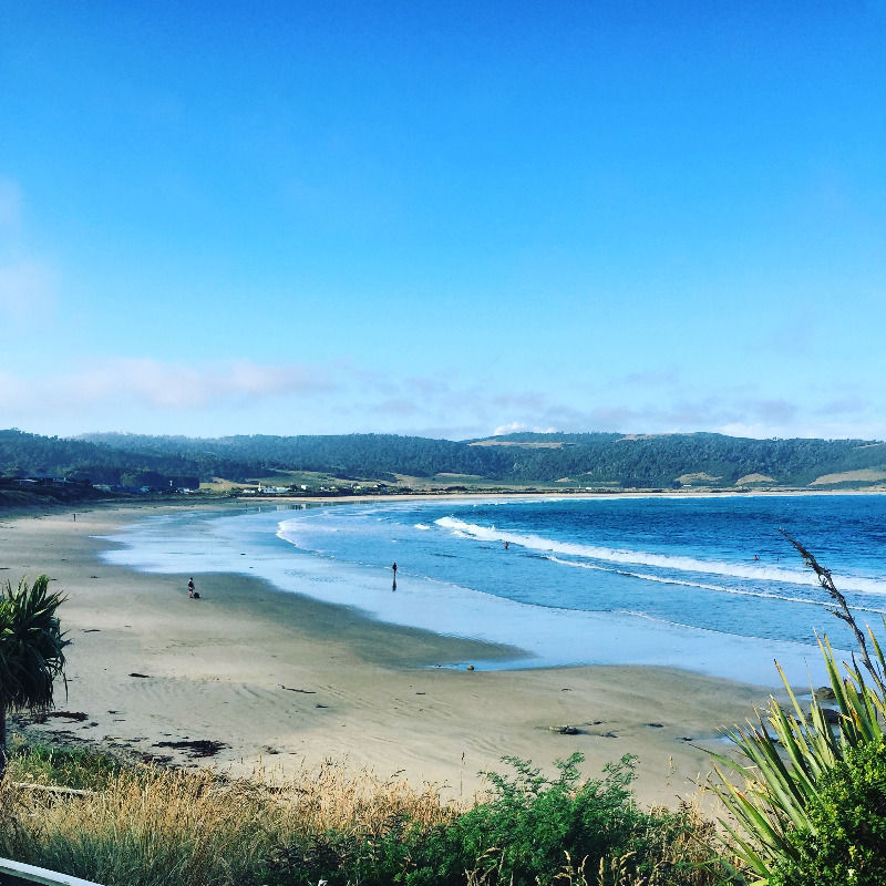 Curio bay New Zealand