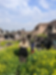 I Dream of Mangoes exploring Mosul Old City