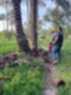 Farm in Hindeyah
