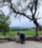 I Dream of Mangoes and a Camino Shell Marker