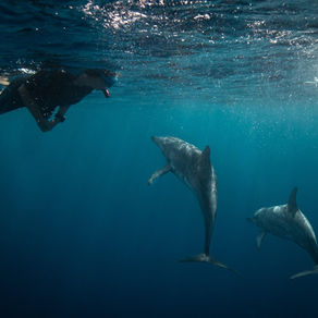 The Complete Guide to Doing a Divemaster in Utila