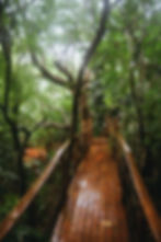 Tukulolo treehouses Tonga